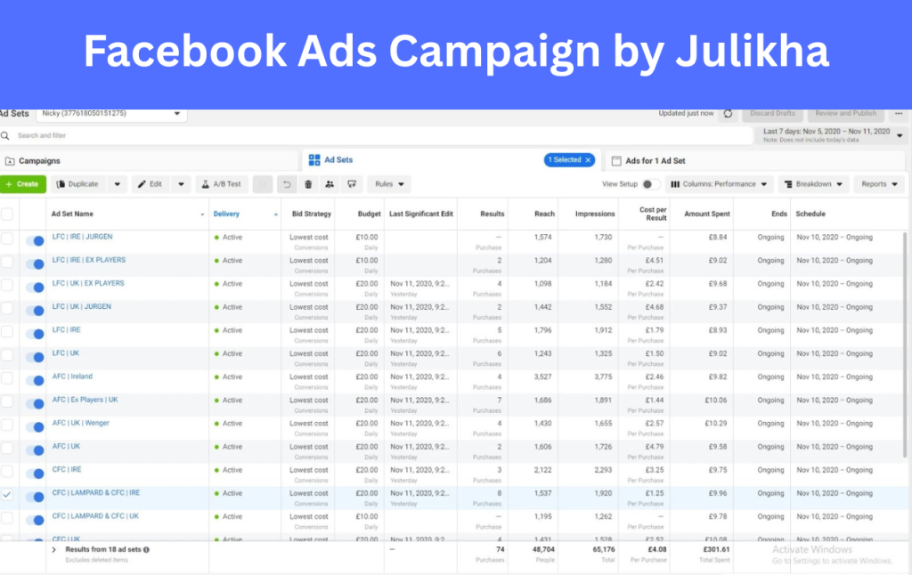 Facebook ads campaign managed by Top Digital Marketer Julikha